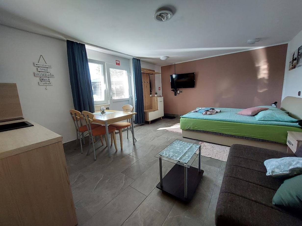Studio Apartma Zirovnik Cerklje na Gorenjskem Ngoại thất bức ảnh
